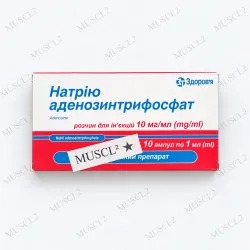 ATP (Sodium Adenosine Triphosphate) inj. 10 mg/ml - 10 ampoules ATP (Sodium Adenosine Triphosphate) inj. 10 mg/ml - 10 ampoules